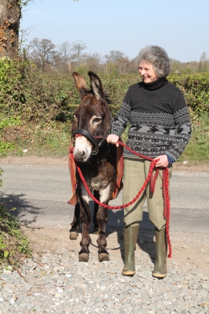 Lucius the Donkey