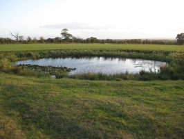 Typical Marl Pit on Farmland