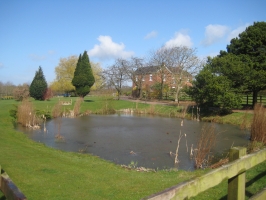 Marl Pit near a Farm