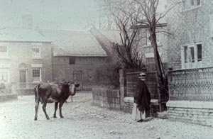 Christleton Insitute 1890's