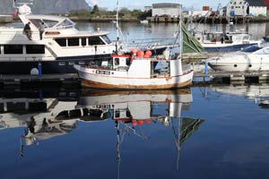 Lofoten Harbour