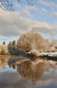 Canal in Winter