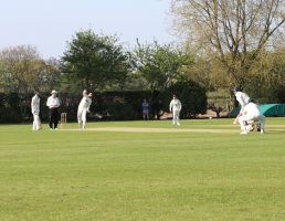 Christleton Cricket