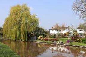 The Canal at Rowton