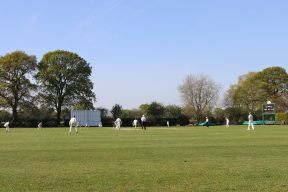 Cricket Match