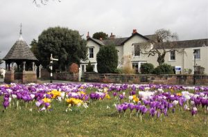 The Pump House and Village Green