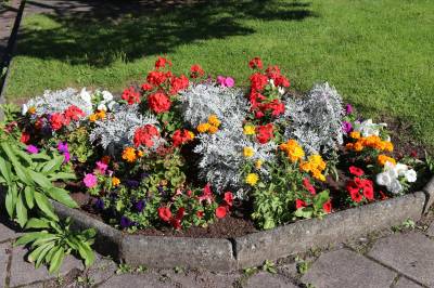 Summer flowers on the Village Green