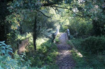 Roman Bridges