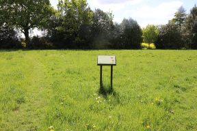 Village Meadow