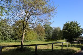 Birth Heath Common