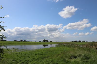 Flooding at Hockenhull