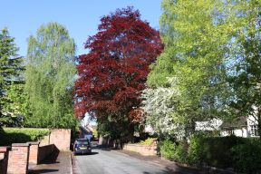 Birch Heath Lane