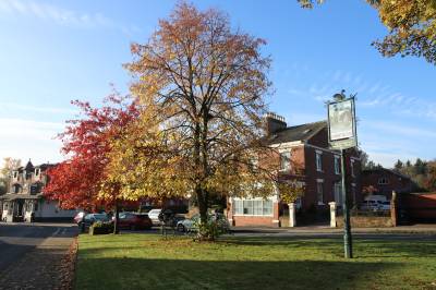 Village Green and Sign