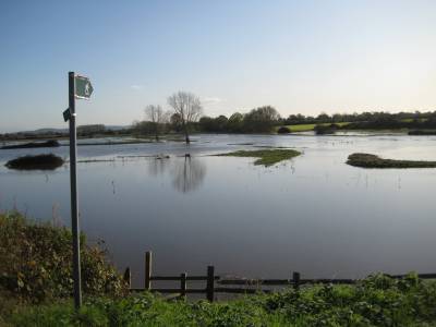  Flooding at Stamford Bridge 2019 