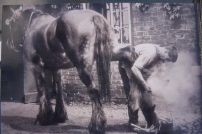  The Blacksmith 