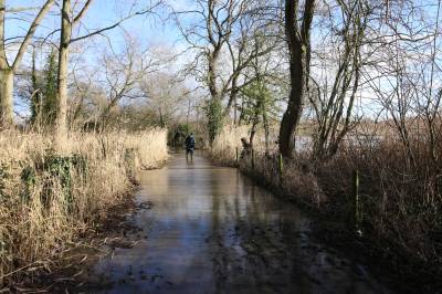  Flooded Lane at Hockenhull Platts 