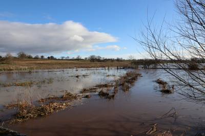  Flooded meadow and river Gowy 