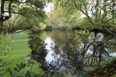  Pit at Birch Heath 