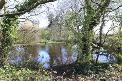  Pit at Brown Heath 