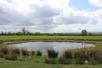  Marl Pit overlooking the River Dee 