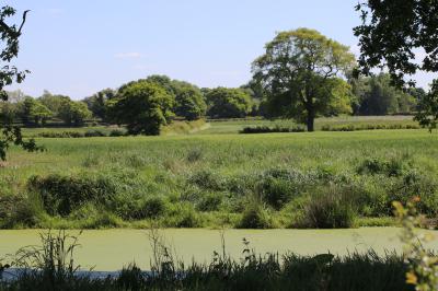  Pit at Littleton, near Chester 