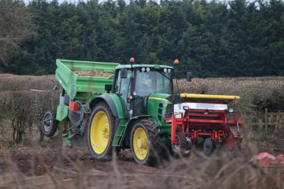  Potatoe planting  