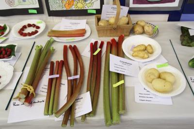  Fruit and Vegetables Christleton Village Show 