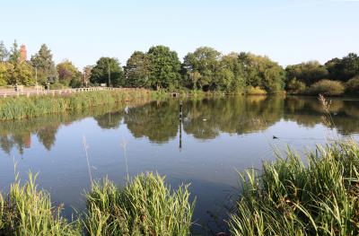  View of Christleton Pit 