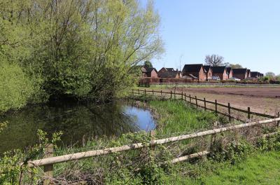  Pit at Brown Heath, Christleton 