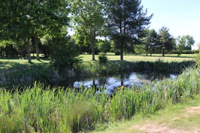  Pit at Vicars Cross 