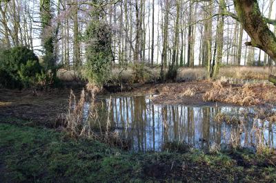  Eris Beech's  early swimming pool 