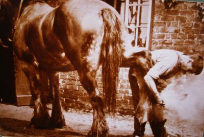  Blacksmith Fleet in Little Heath Road Christlketon 