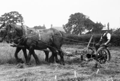  Farming years ago in Christleton 