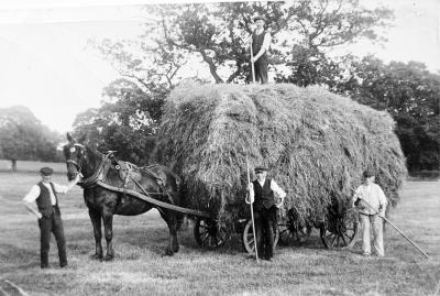  Haymaking at Christleton 