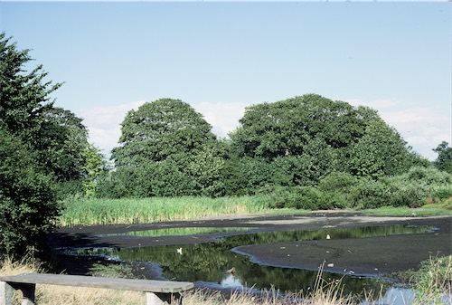  The Pit, Christleton 1976 