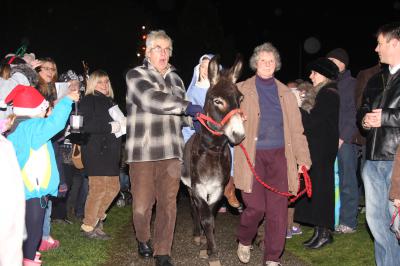  Christmas Donkey at St. James', Christleton 