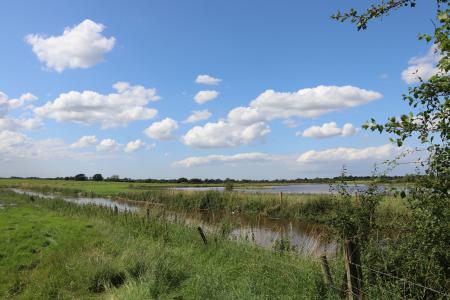  The River Gowy and Lake 