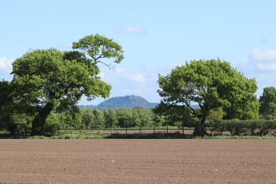  Beeston Castle 