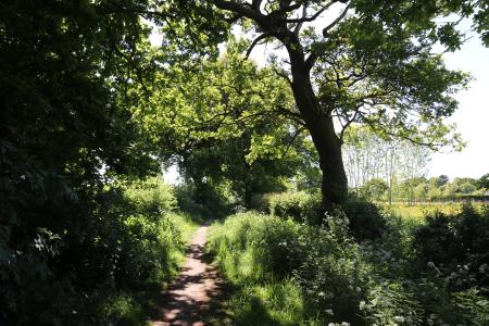  Fir Tree Lane, Christleton 