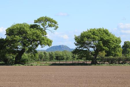  View of Beeston Castle 