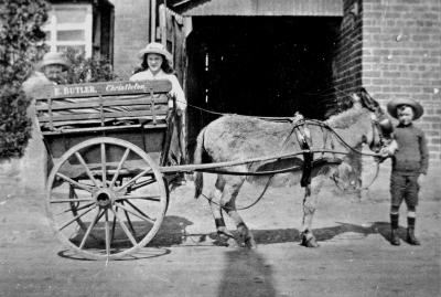  The Mill Bread Cart 