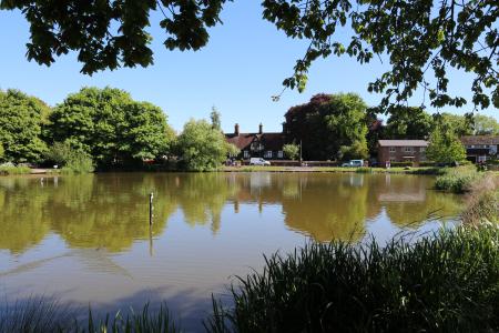  The Pit at Christleton 