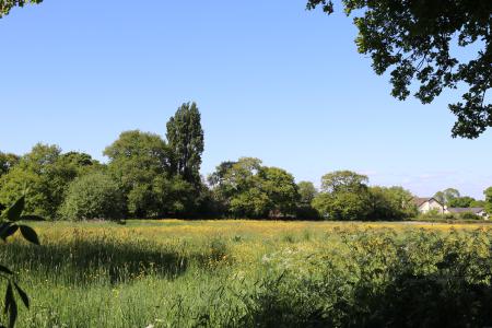  Meadow at Littleton 