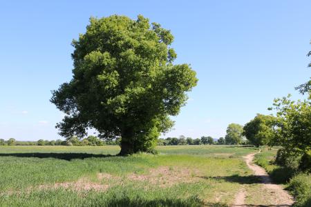  Pathway joining Christleton and Littleton 