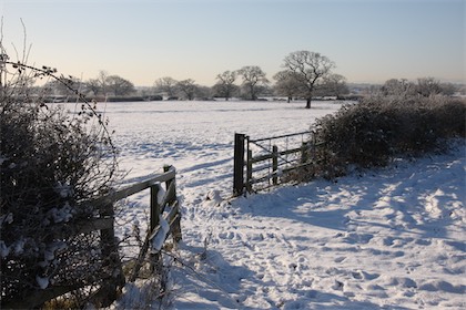 White Lane Farm