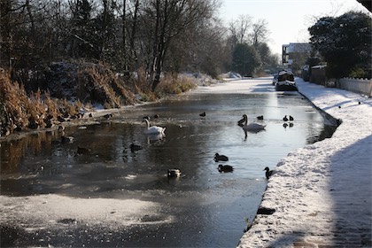 View towards Butlrs Mill, Christleton