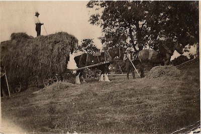  Haymaking in Christleton 