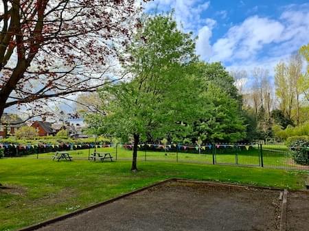 The Lime Tree on Primary School Field