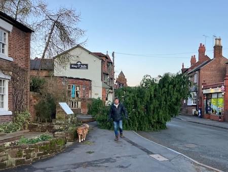 Storm Damage in Village oad Christleton