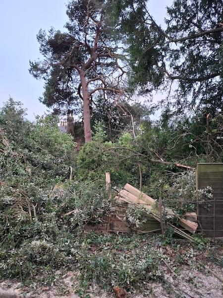 Storm Damage in Pepper Street, Christleton